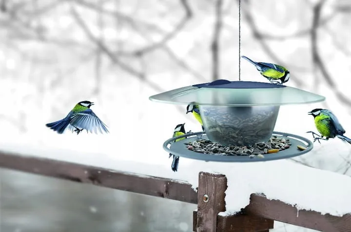 Vogelfutterhaus Birdy Feed Round - Futterstelle für kleine Wildvögel